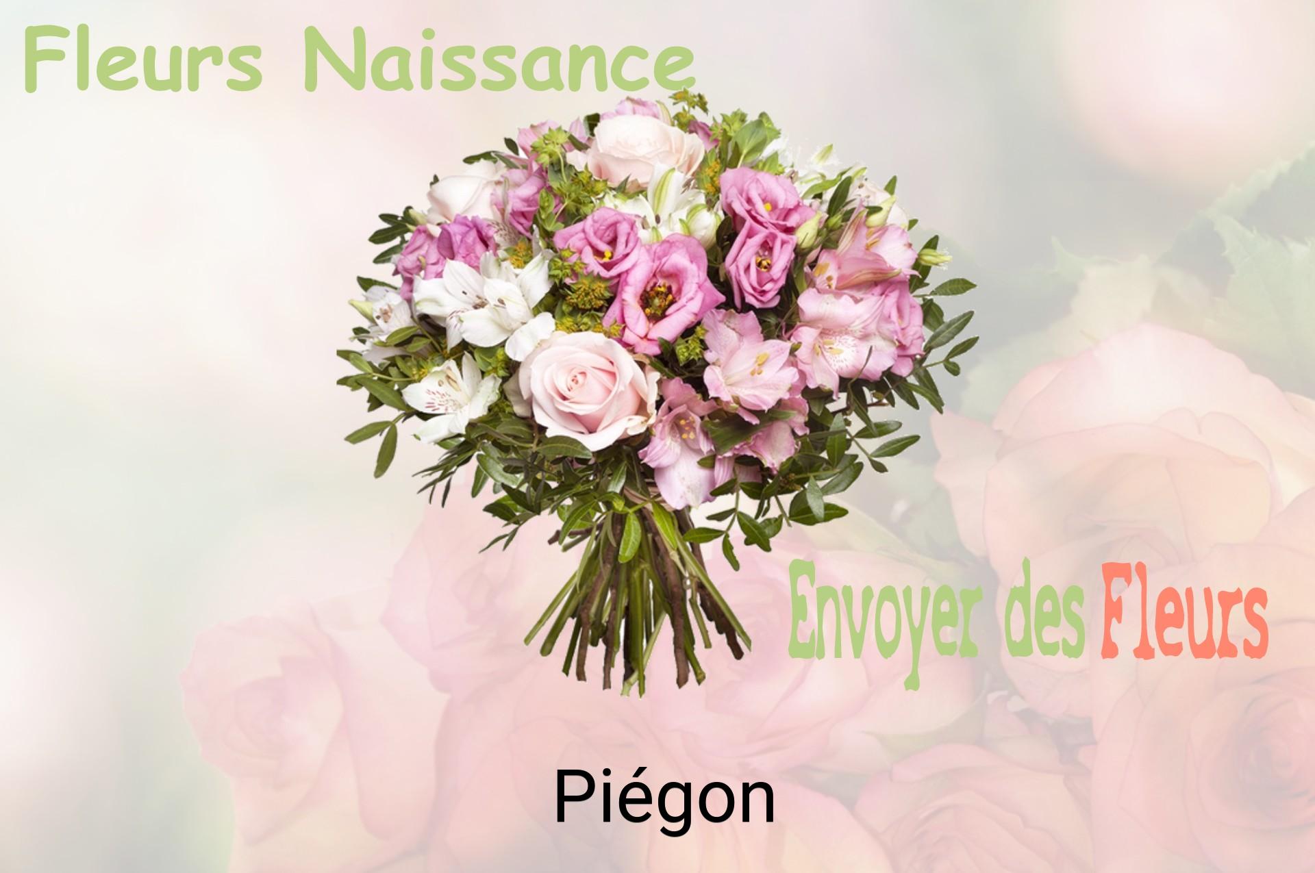 Bouquet de fleurs de naissance livré à Piégon